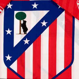 Atleti 90 cm Sheet Set